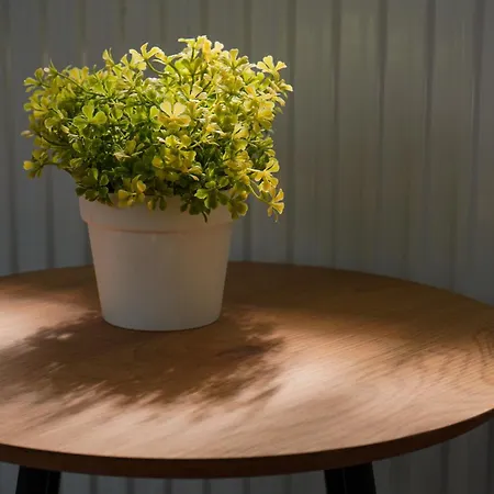 Jecmiste モーテル トゥズラ